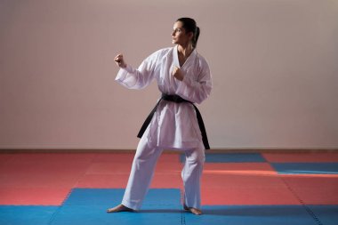 mücadele - Delme karma dövüş sanatçıları