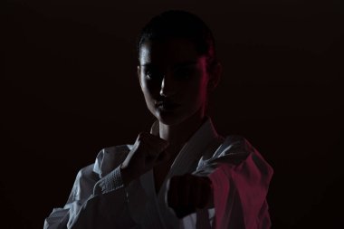 Siluet Karate Fighter