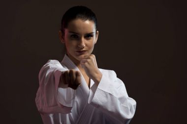 mücadele - Delme karma dövüş sanatçıları