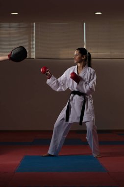 Taekwondo fighter poz