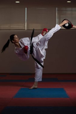 Beyaz Karate Fighter