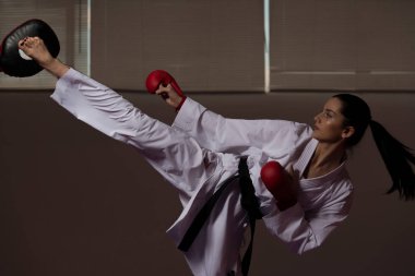 Taekwondo fighter uzman mücadele duruşu ile