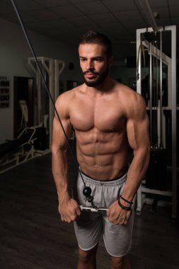 Egzersiz Triceps model