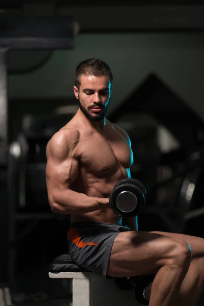 Model With Dumbbells Exercising Biceps — Stock Photo, Image