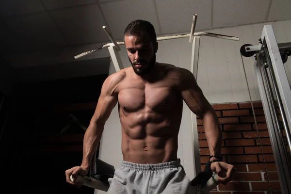 Poręczach ćwiczenia na Triceps i klatki piersiowej — Zdjęcie stockowe