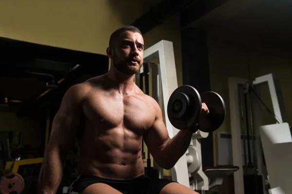 Man With Dumbbells Exercising Biceps — Stock Photo, Image