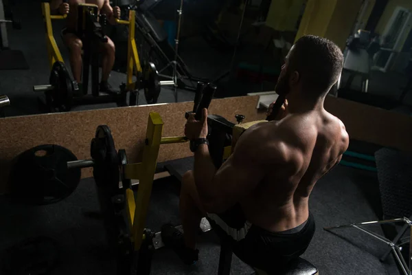 Bodybuilder Exercising Back In Gym