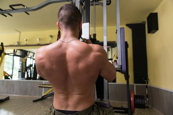 Bodybuilder Exercising Back In Gym