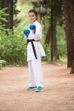 Taekwondo Fighter uzman mücadele duruşu ile Park