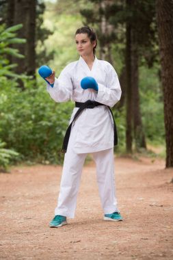 Beyaz Karate Fighter Park