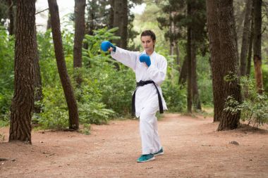 Taekwondo Fighter uzman mücadele duruşu ile Park