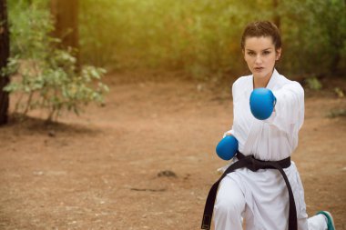 Taekwondo Fighter poz Park