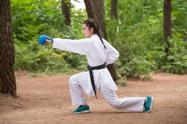 Taekwondo Fighter uzman mücadele duruşu ile Park
