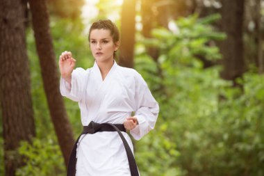 Taekwondo Fighter poz Park