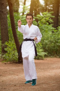 Mücadele - Park'ta Delme karışık dövüş sanatçıları