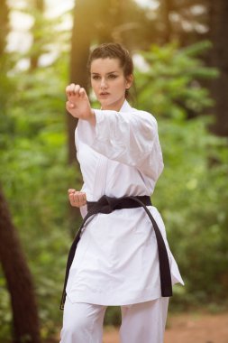 Beyaz Karate Fighter Park