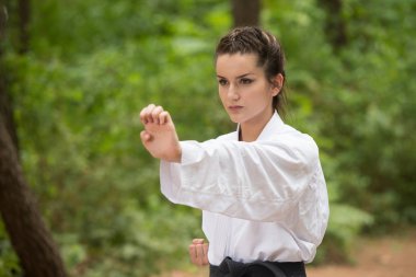 Taekwondo Fighter uzman mücadele duruşu ile Park