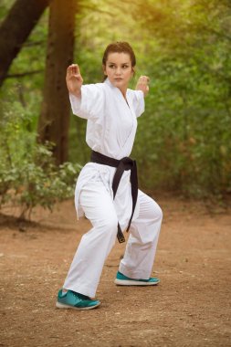 Taekwondo Fighter uzman mücadele duruşu ile Park