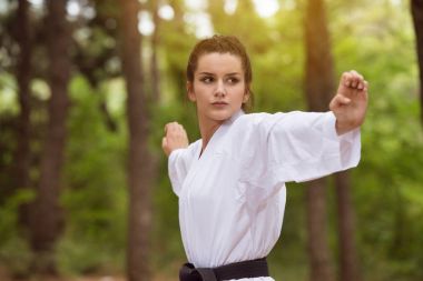 Taekwondo Fighter poz Park