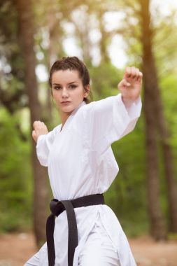 Taekwondo Fighter uzman mücadele duruşu ile Park