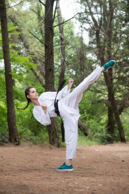Beyaz Karate Fighter Park