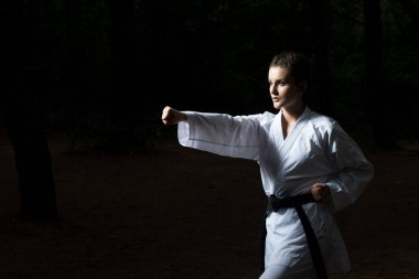 Taekwondo Fighter poz Park