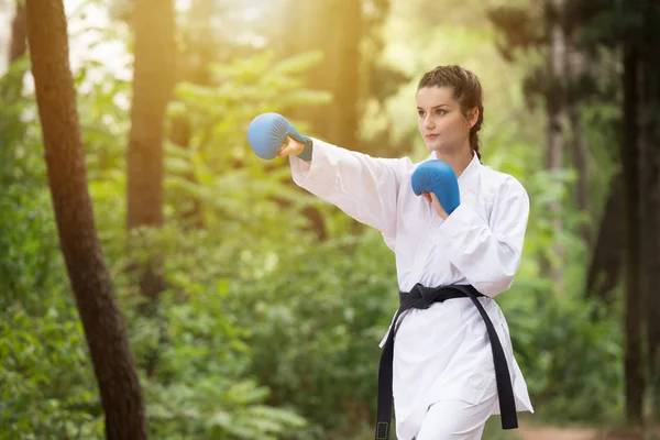 Taekwondo Fighter poz Park