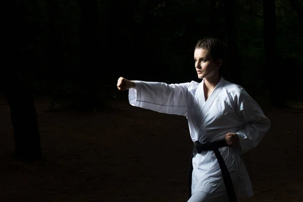 Taekwondo Fighter Pose al parco — Foto Stock