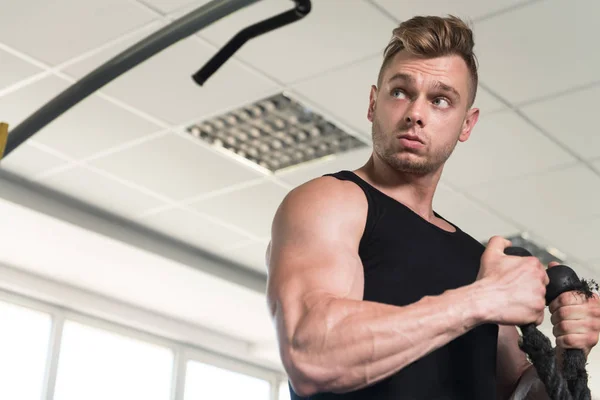 Bodybuilder Exercising Biceps In Undershirt — Stock Photo, Image