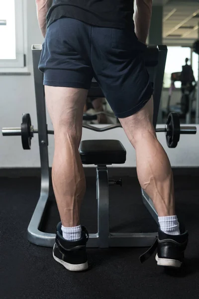 Calves Exercise Training — Stock Photo, Image