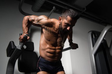 Triceps ve göğüs egzersiz paralel Bar