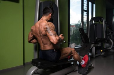 Kaslı adam arka için ağır egzersiz yaparak