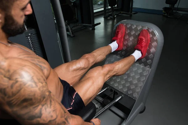 egzersiz bacak egzersizleri