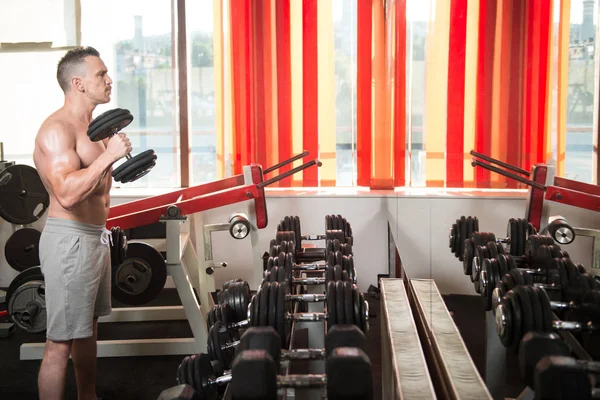 Sportovec Cvičit Biceps Tělocvičně Brumbál Koncentrace Kadeře — Stock fotografie