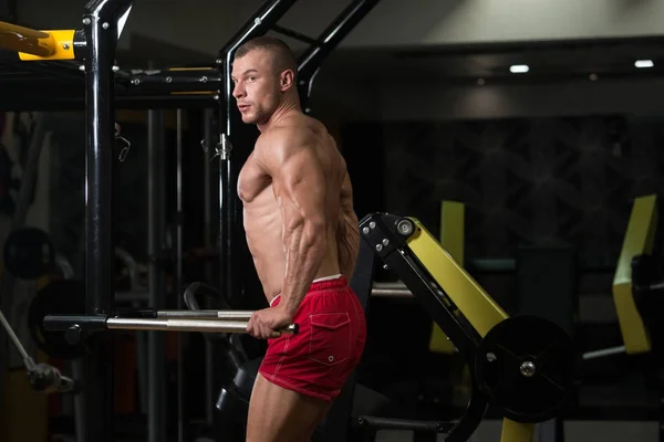 Triceps ve göğüs egzersiz paralel Bar — Stok fotoğraf