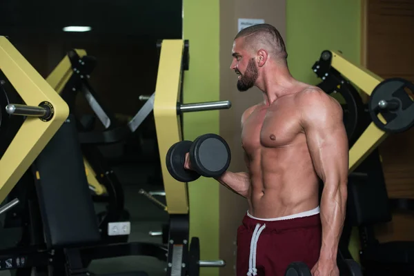 Athlete Working Out Biceps Gym Dumbbell Concentration Curls — Stock Photo, Image