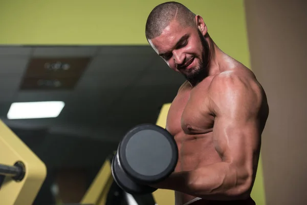 Atleta Ejercitando Bíceps Gimnasio Dumbbell Concentration Curls —  Fotos de Stock