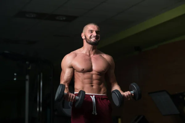 Athlete Working Out Biceps Gym Dumbbell Concentration Curls — Stock Photo, Image