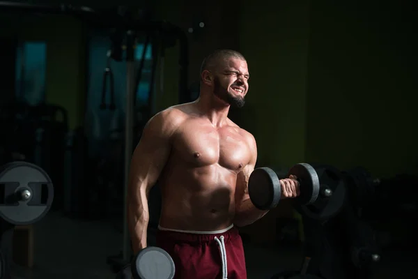 Hombre Ejercitando Bíceps Gimnasio Dumbbell Concentration Curls — Foto de Stock