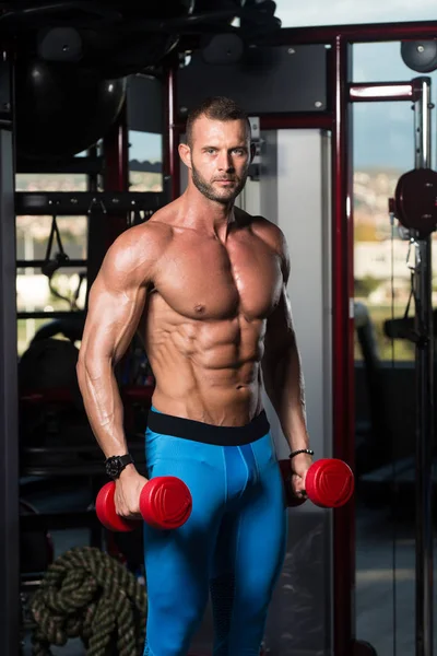 Bodybuilder Exercising Biceps With Dumbbells — Stock Photo, Image