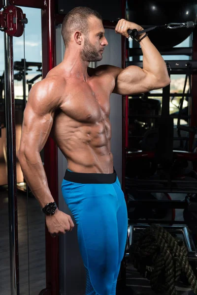 Bodybuilder Exercising Biceps — Stock Photo, Image