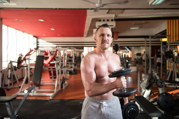 Atleta Che Lavora Fuori Bicipiti Una Palestra Dumbbell Concentration Curls — Foto Stock