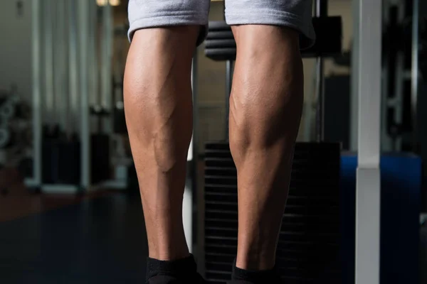 Sporty Legs Calf — Stock Photo, Image