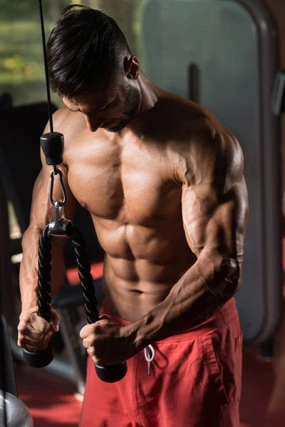 Kablosu ile Triceps için ağır egzersiz yaparak atlet — Stok fotoğraf