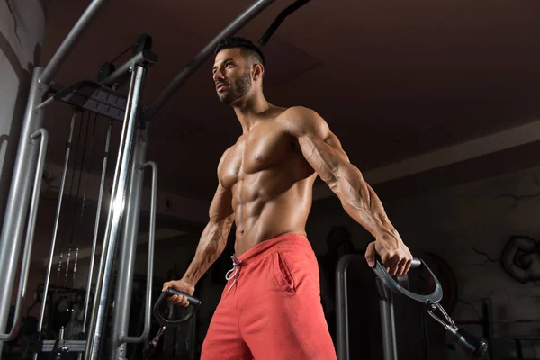 Homme exerçant Biceps dans la salle de gym — Photo