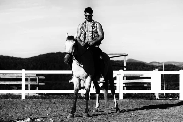Knappe Man op het paard — Stockfoto