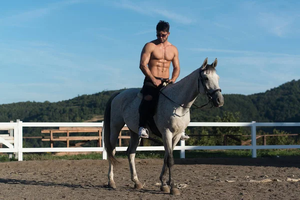 Handsome Man on the Horse — Stock Photo, Image