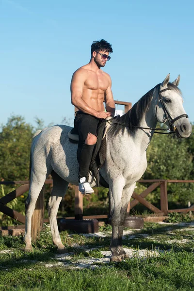 Valkoinen hevonen ja ratsastaja luonnossa ulkona — kuvapankkivalokuva