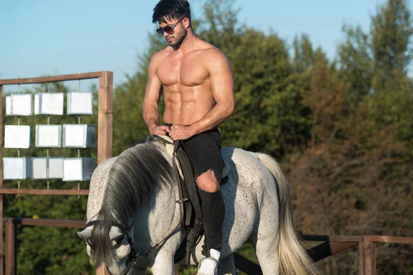 Muž na koni — Stock fotografie