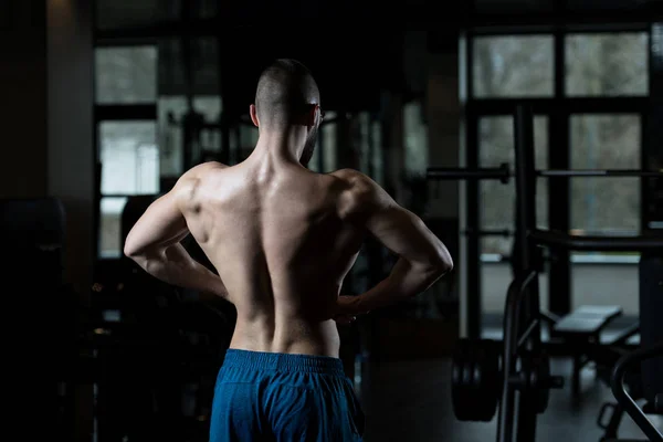 Muscular Man Flexing Muscles In Gym